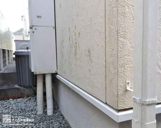 北面の外壁と雨樋の周辺に苔が生えている例