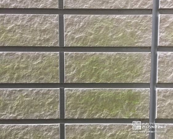 サイディング表面に薄く広がった緑の藻