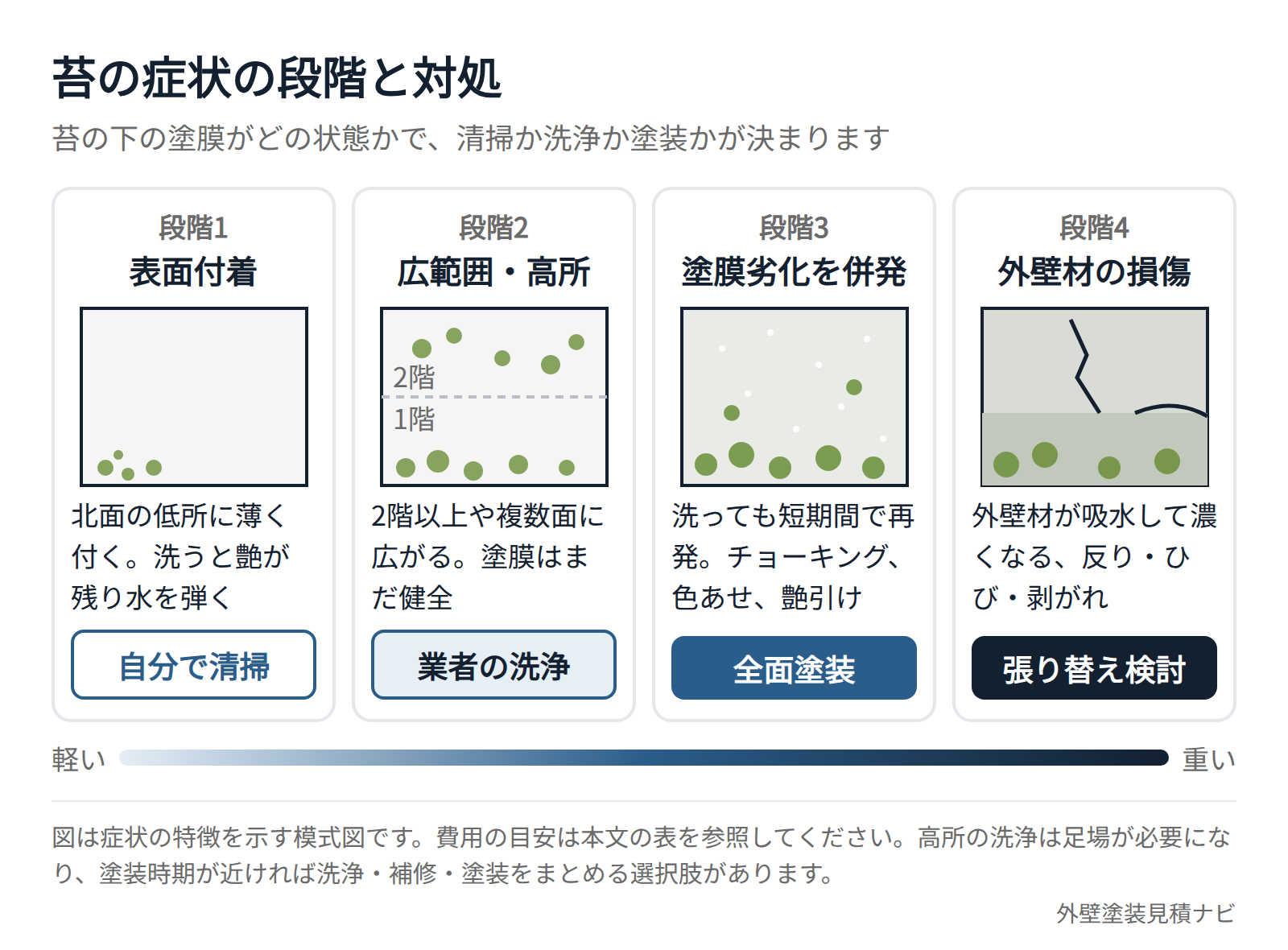 外壁の苔の段階別の症状と対処を示した図解